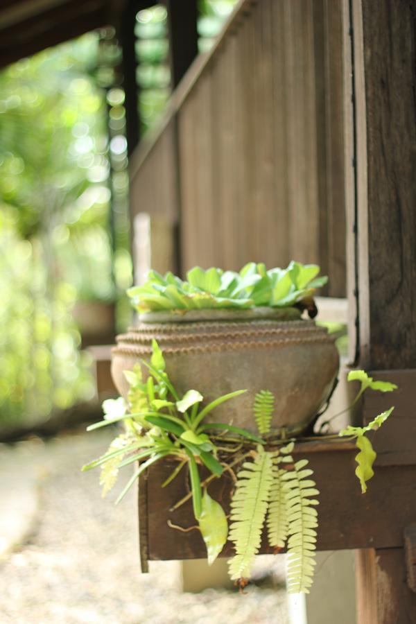 Ban Mae Mae Mae Nai Gardensヴィラ エクステリア 写真